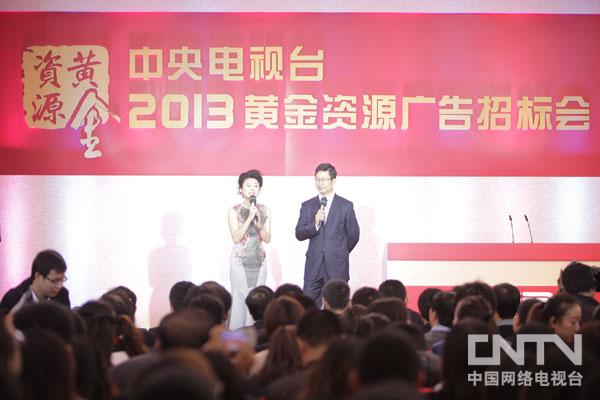 主持人白岩松、王小丫