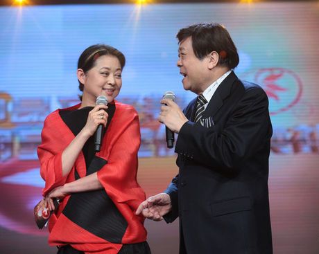 赵忠祥、倪萍(资料图)