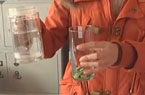 调查试验:瓜子泡水变色