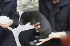 云南村民捡到小黑熊