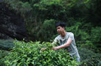 拒做富二代的85后茶商