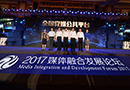 2017ý���ںϷ�չ��̳