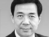 查处薄熙来入选十大新闻